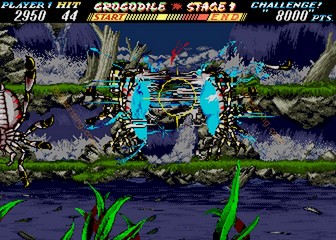 image de The First Funky Fighter